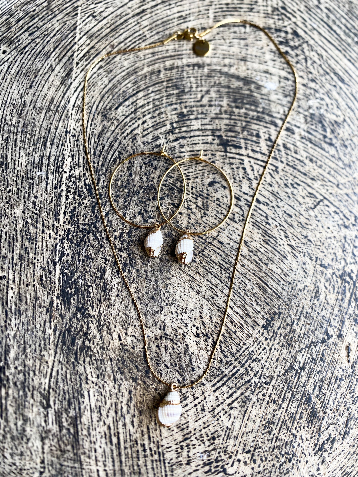 Parure Shell
