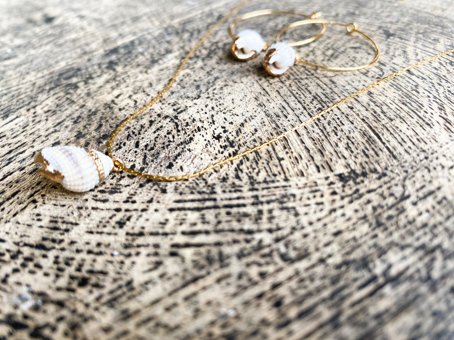 Parure Shell