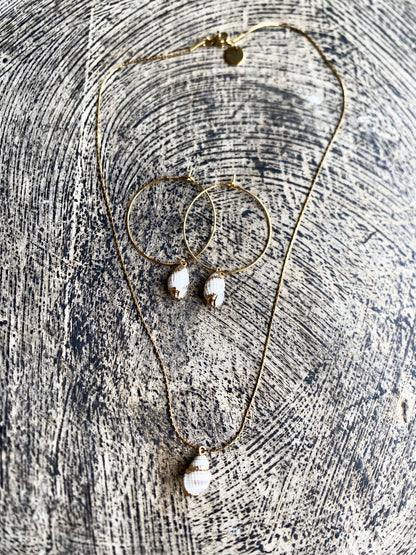 Parure Shell