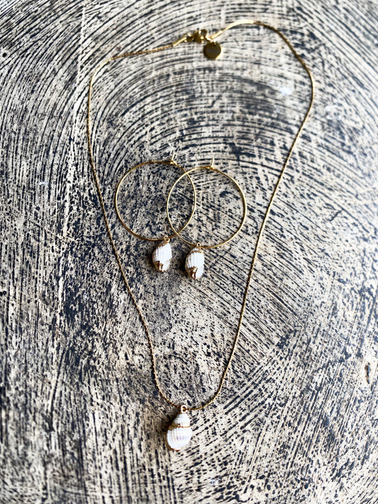 Parure Shell